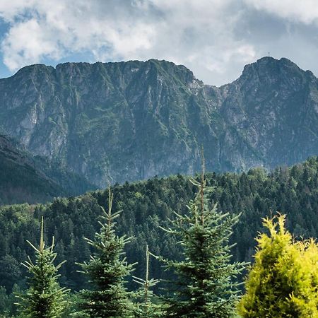 Rent Like Home - Skibowki Zakopane Buitenkant foto