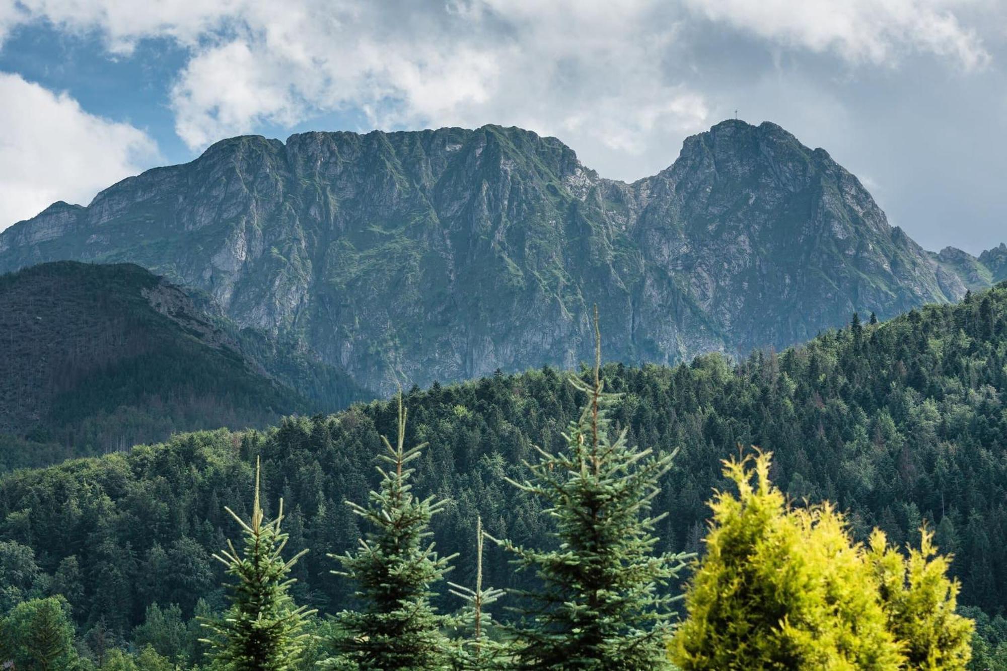 Rent Like Home - Skibowki Zakopane Buitenkant foto